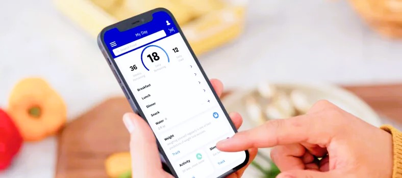 Wellness App Engagement